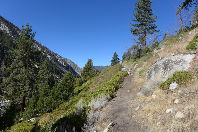 PUD west of the meadow