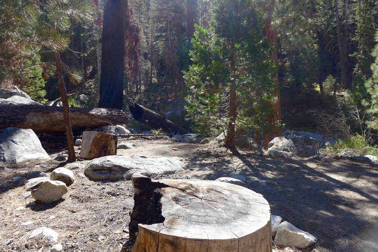 Uncharted campsite along Woods Creek