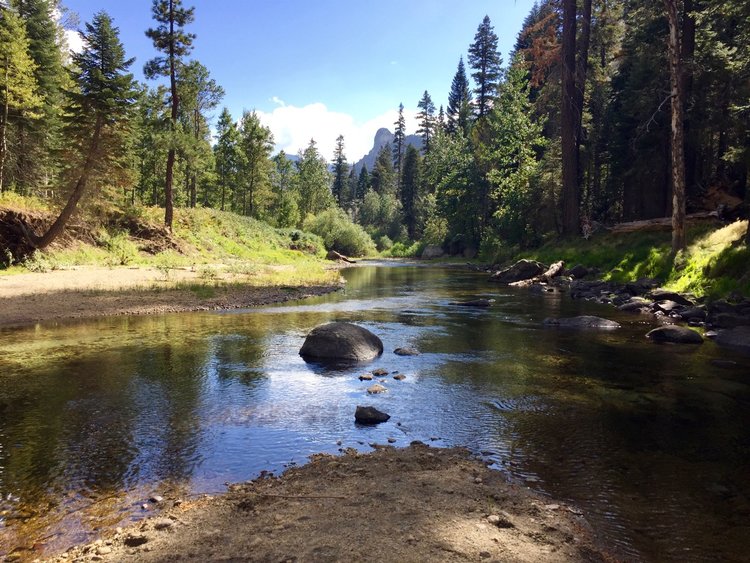 Campsite View, Lower Paradise
