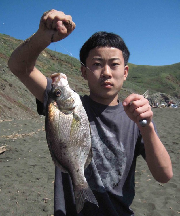 Lee's 14&quot; rubberlip surf perch. This is the first time we've seen one of these (outside of the pages of a book).