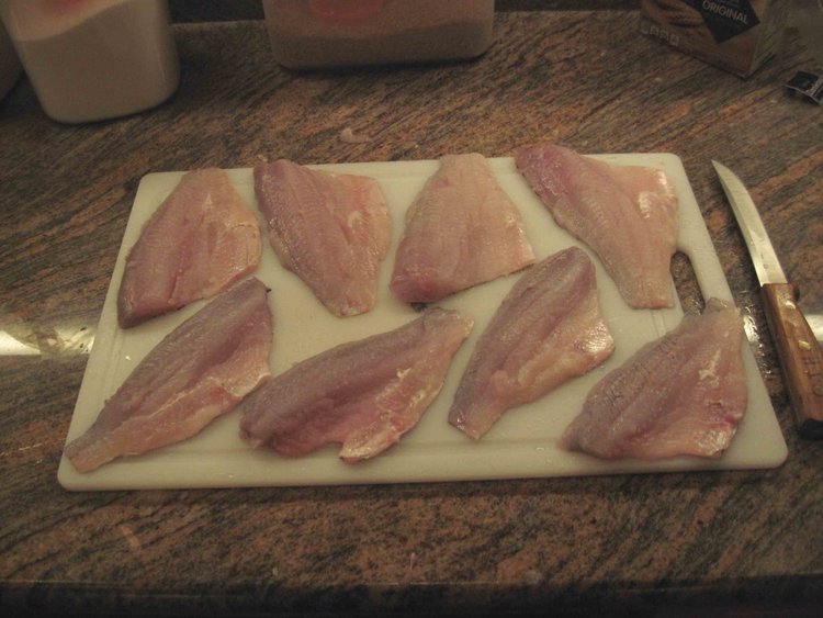 These were the bigger fillets (of 4 of the 7 fish).  Lee does a fine job of this and it led to another fine dinner.