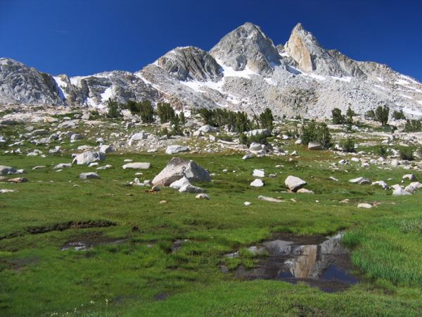 9710-FingerPeaks from meadow at head of PiuteCr.jpg
