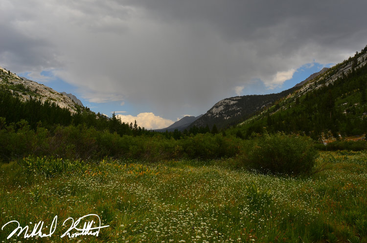 Looking back up canyon... See that stormy ass cloud above us. Yeah it would dump on us. Oh and see all the brush and trees in this photo. Did you notice the nice pretty trail.. Oh wait you didn't. That's because there isn't one........