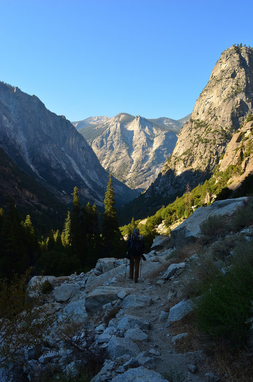 A much nicer view of King's Canyon without smoke. Looking straight up to the Sphinx.