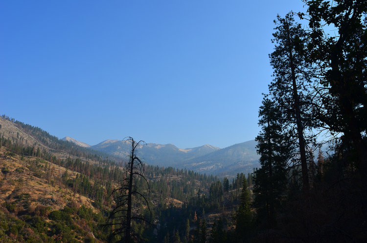 Looking up to the Monarch Divide. You can see part of the torched hillside from the Rough Fire... Hard to believe that we were being evacuated out of the park just the previous year since the fire was raging all around this area.