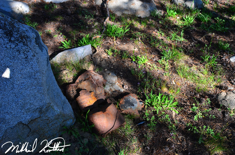 Rusted cans... maybe 80 years old? Who knows...