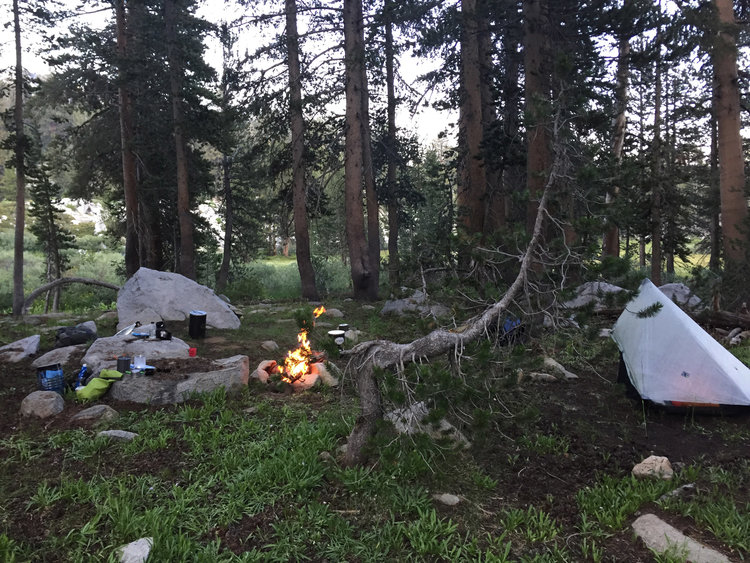 Our swampy, mosquito infested campsite at the Grizzly Lakes. What an incredibly remote and non-visited area.