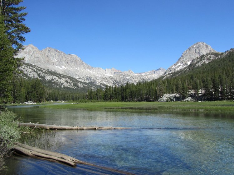 McClure Meadow