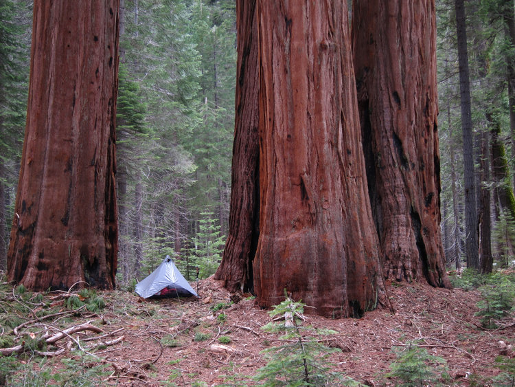 2Campsite in Redwood Mt. Grove