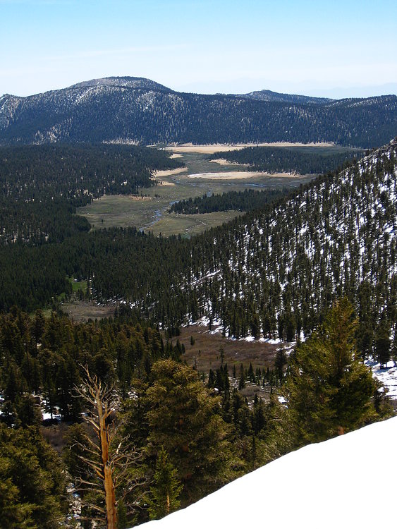 Big Whitney Meadow.JPG