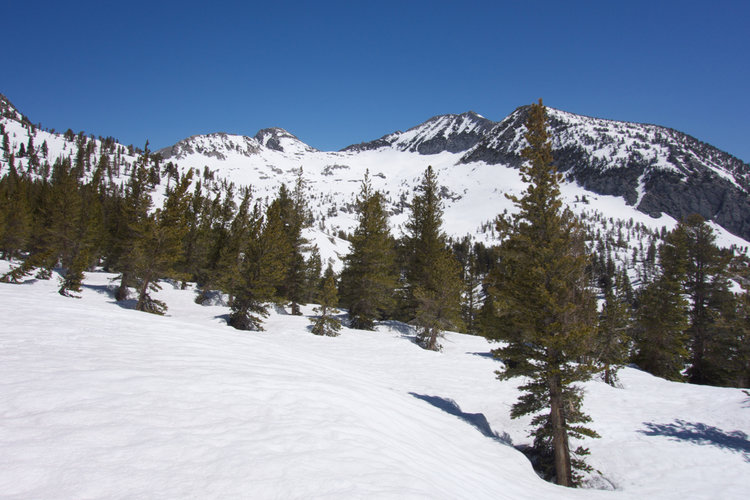 Grouse Lake Basin, Munger Peak, and Goat Mountain
