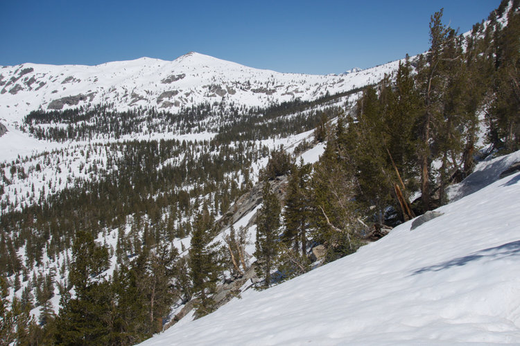 Views Towards Glacier Pass