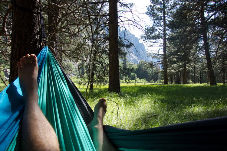 Hammock Naptime In Zumwalt Meadow
