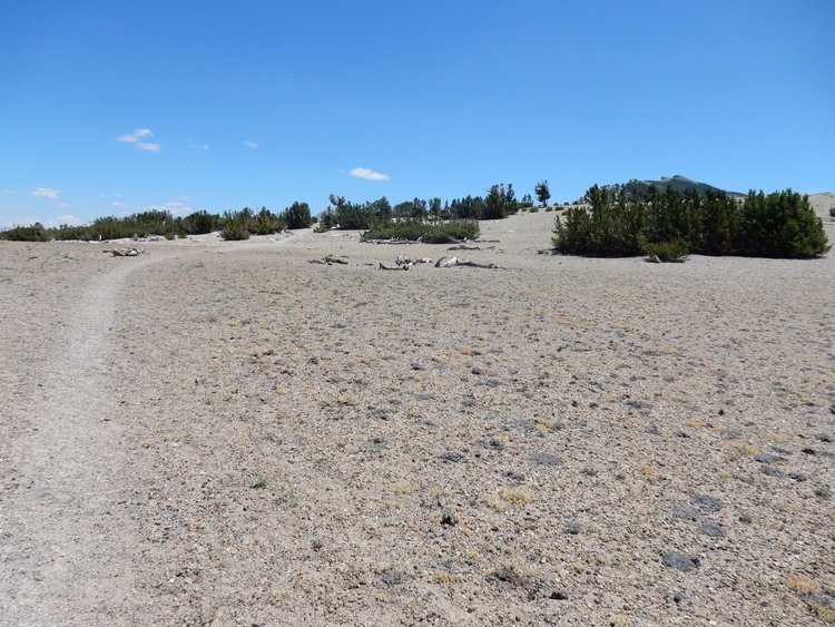atop Mammoth Crest