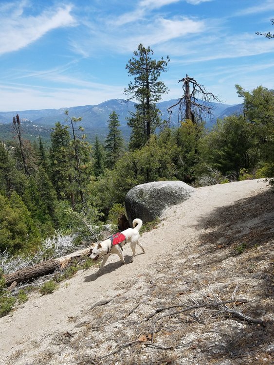 Great views as the climb approaches the ridgeline.