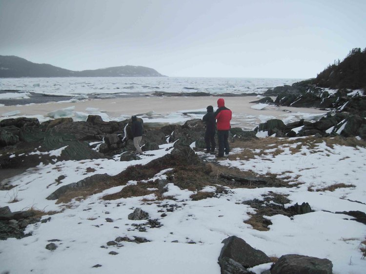 I'd never seen sea ice before. We'd see a lot of of it on this trip.