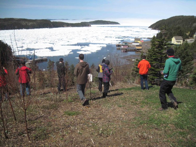 Another ice-choked part of the coastline.