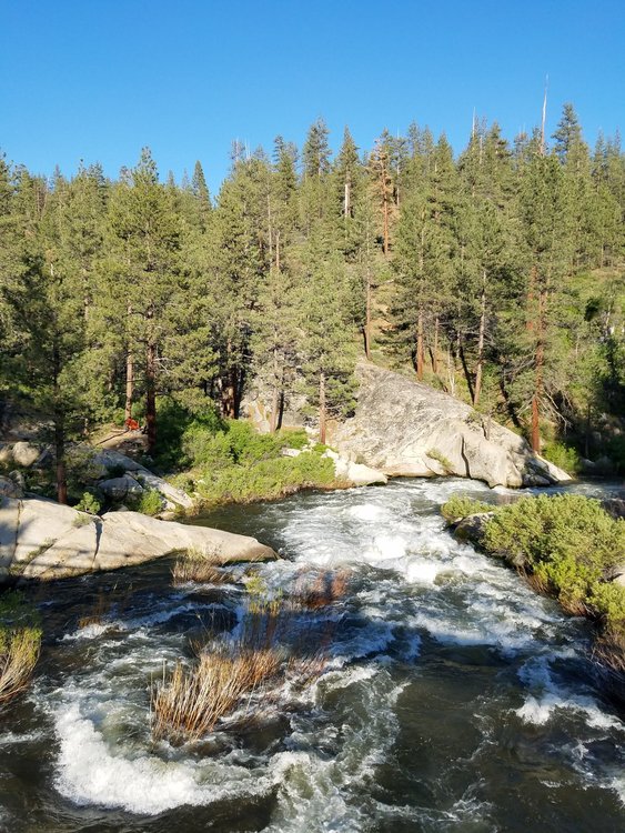 Looking south from the bridge.