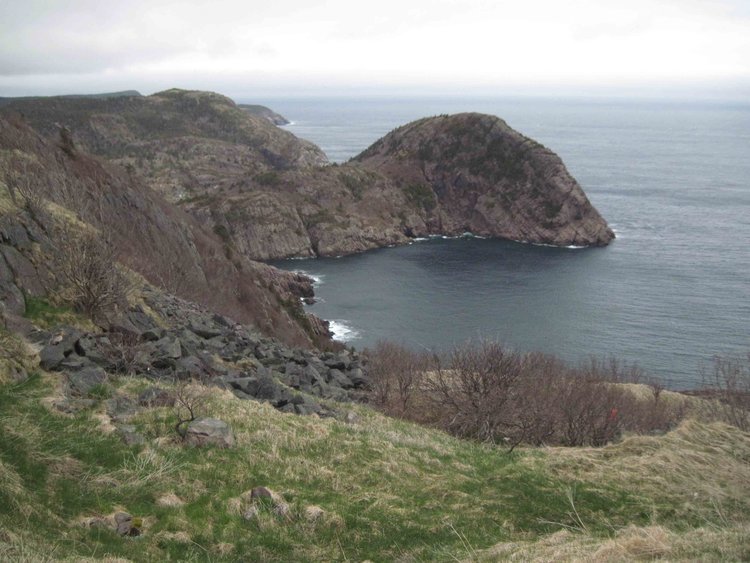 Atlantic coast viewed northward.  This is the very easternmost part of North America and the point of closest approach to Europe.  Out there east across the Atlantic is Ireland.