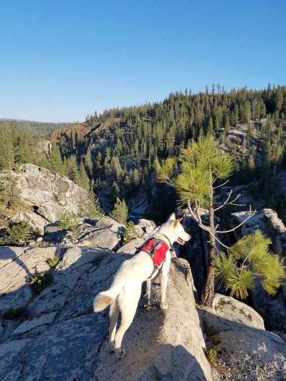 Jin surveys the river gorge.