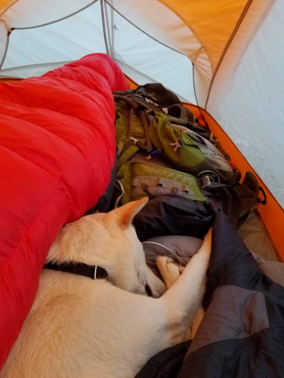 Tent sleeping was no issue, clearly.