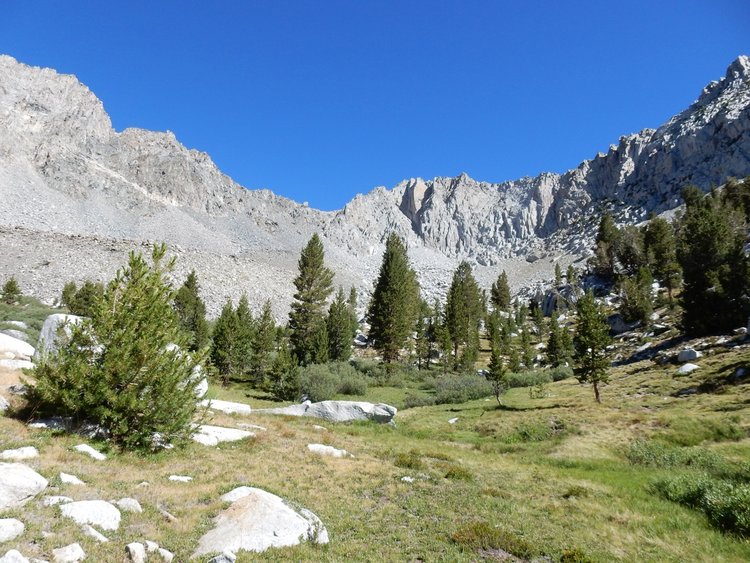 meadows below Pika Pass