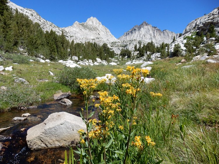 Laurel Creek &amp; Peak 12238 &amp; Red and White Mtn
