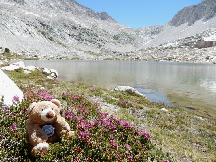 Boone at Teddy Bear Lake -- White Bear Pass in the distance