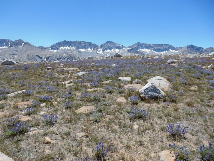 Humphreys Basin &amp; Glacier Divide