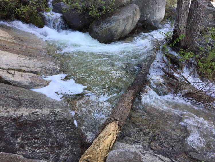 Mehrten Creek Crossing #1 -- wade across the pool created by the log.
