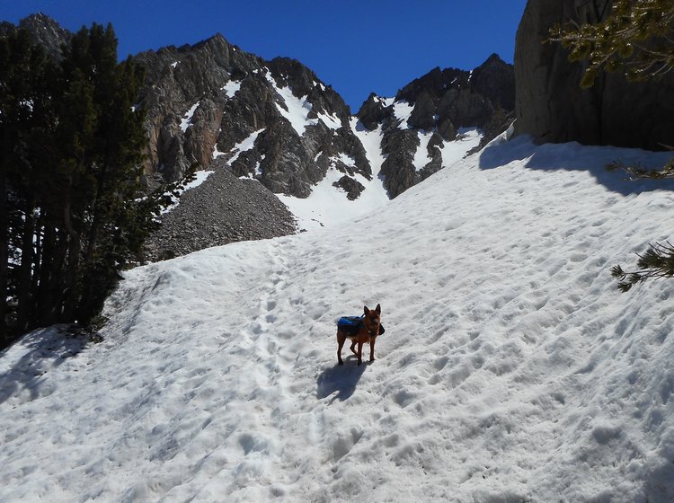 bearpicDSCN0418.jpg