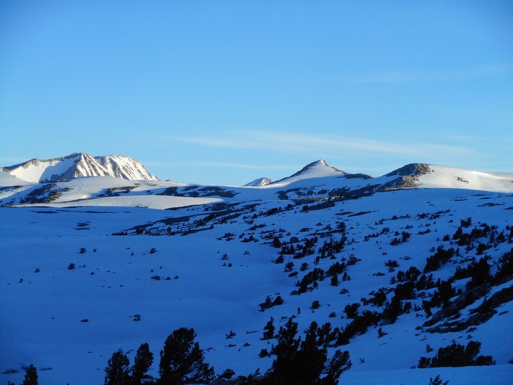 ppassDSCN0447.jpg