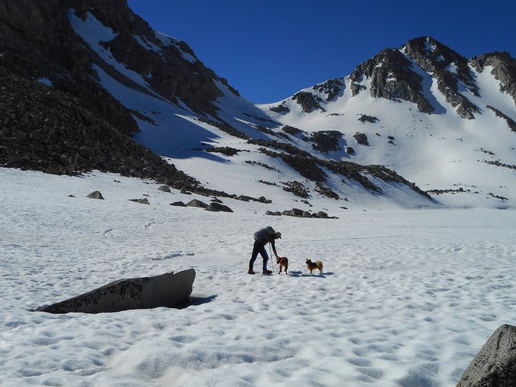 ianand dogsDSCN0481.jpg