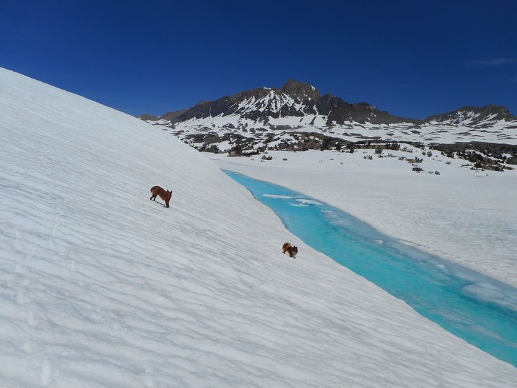 turqwaterDSCN0512.jpg