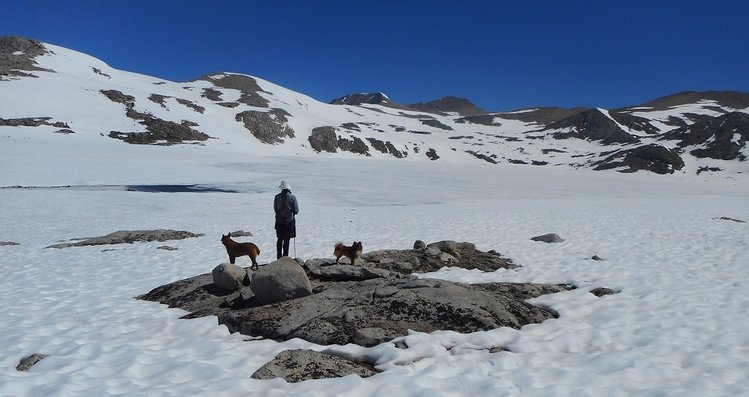 desolkDSCN0545.jpg