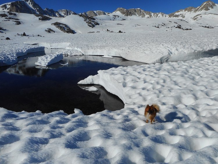 wolfie bywaterDSCN0535[1].jpg