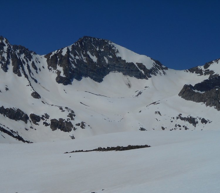 coyoteDSCN0547.jpg