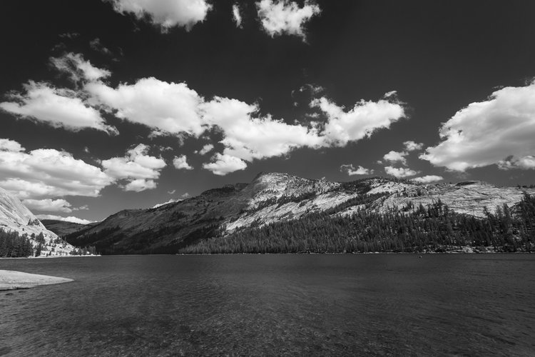 IMG_4310-Editweb1200.jpg