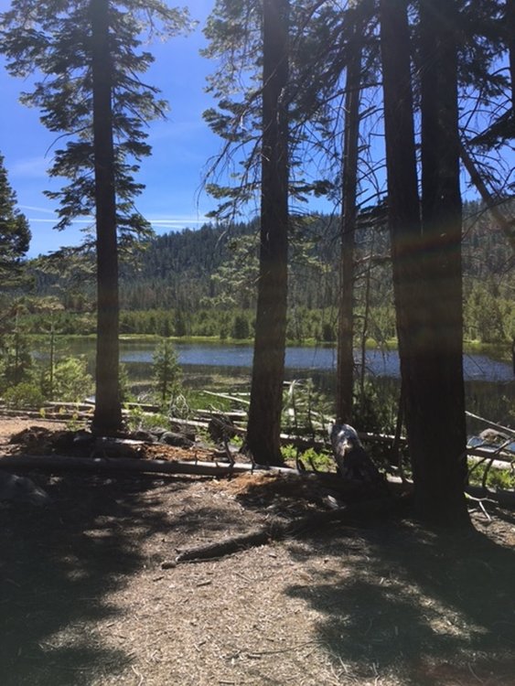 That's a meadow, not a lake.