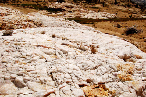 quartz vein detail272.jpg