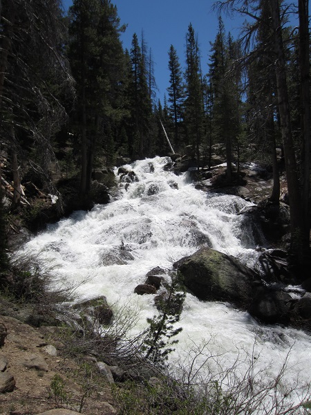 Long Canyon Creek in the morning