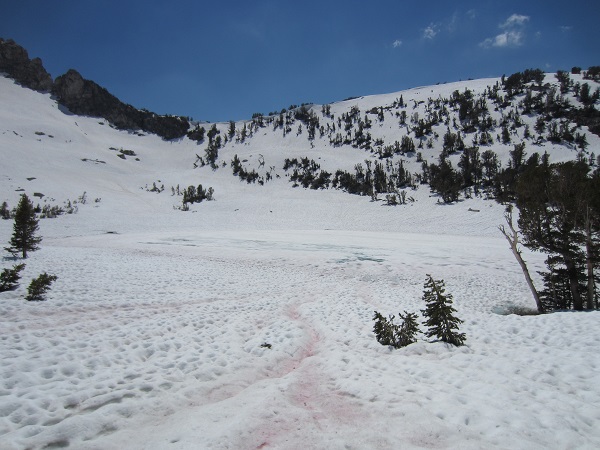 Beartrap Lake