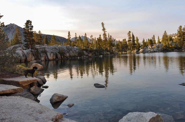 DSC_0079.jpg