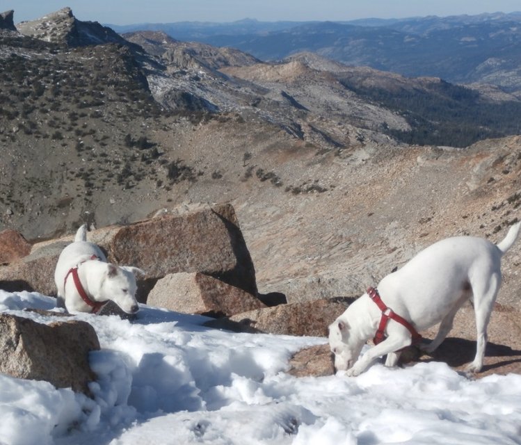Girls, Snow Summit.jpg