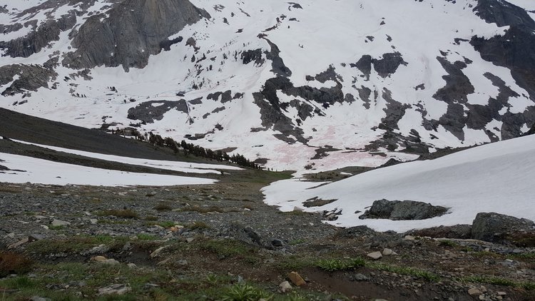 View down the slope with wall of snow on the right.