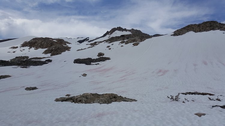 Looking up to Black Rock Pass from near Lake 10,750'.