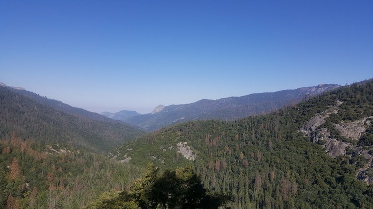 View of Moro Rock, with Crescent Meadow (our end goal) somewhere close to the right of it.