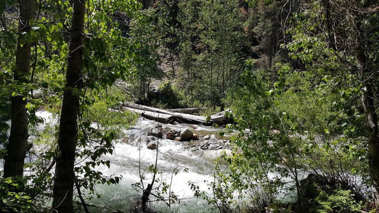 Trail crossing of Middle Fork of Kaweah River.