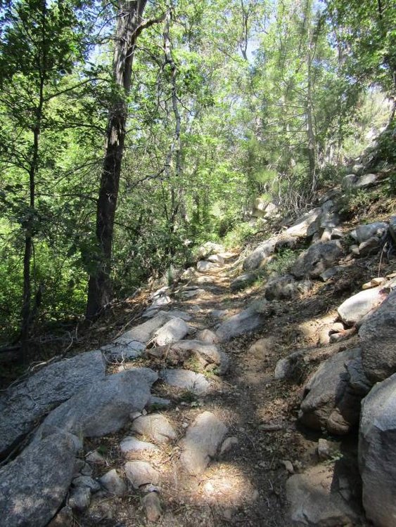 Trail near stream crossings