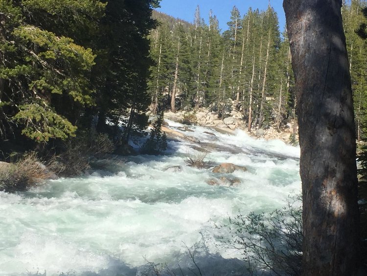 Here is Evolution Creek from this weekend. There were water wheels in the creek.